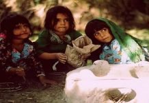 Wonderfully evocative pictures of Kashmir – III Wonderfully evocative pictures of Kashmir – III