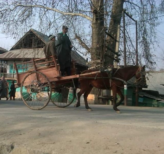 Wonderfully evocative pictures of Kashmir – II