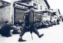 Wonderfully evocative pictures of Kashmir – I