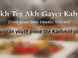 “Akh Tei Akh Gayei Kahh” – Two Shopian youth prove the Kashmiri proverb