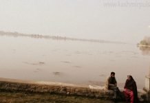 Human activity drives pollution concerns in Dal, Nigeen lakes, study finds Kashmir's famed Dal Lake