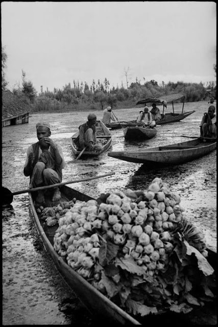 Sabzi Market in Dal Lake selling knol-knol (1948)