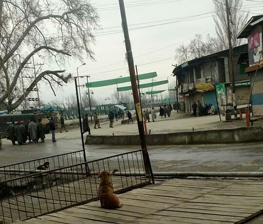Militant Memorial Row: 7th day of Shutdown in Pulwama