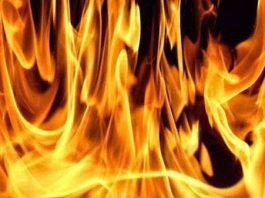 Fire - Blaze