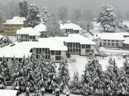 Kashmir University