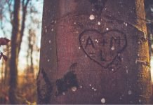 An Unusual Love Story Call of Love - A Poem