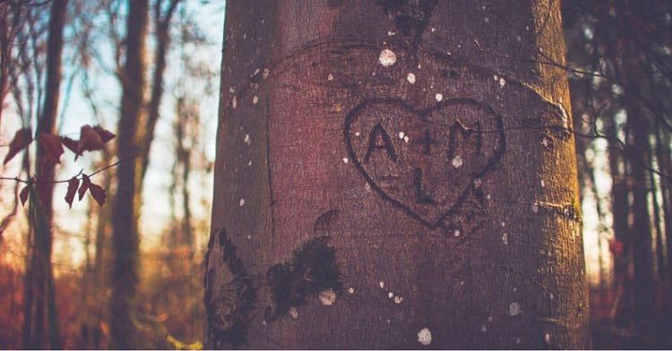 Call of Love - A Poem Call of Love - A Poem