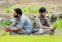 Farmers planting rice saplings in paddy fields in Kashmir Farmers planting rice saplings in paddy fields in Kashmir