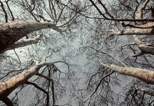 When Darkness Descends – A Short Story When Darkness Descends - A Short Story