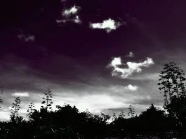Dreadful Dream - A Poem