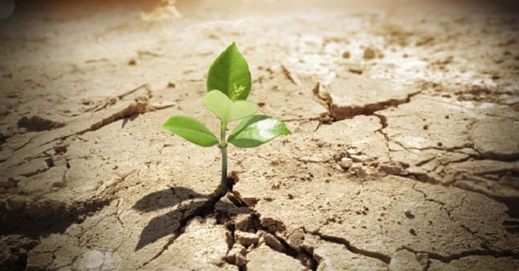 Ghazal (غزل) - Hope