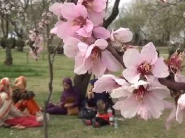 Nauroz - The festival of nature!