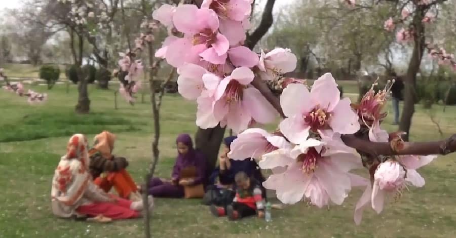 Nauroz - The festival of nature!