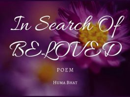 In Search of Beloved - Poem