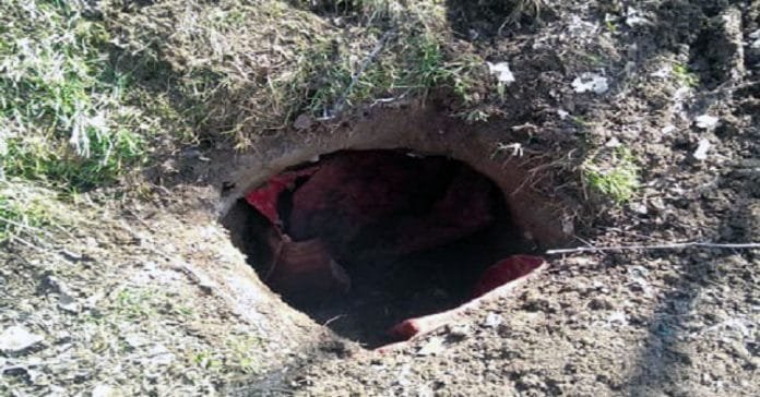 Militant hideout busted in Shopian Militant hideout busted in Shopian