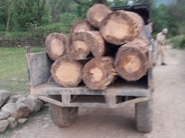 Tractor carrying illicit timber seized in Poonch