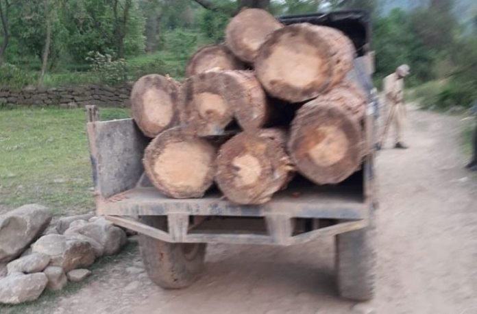 Tractor carrying illicit timber seized in Poonch Tractor carrying illicit timber seized in Poonch