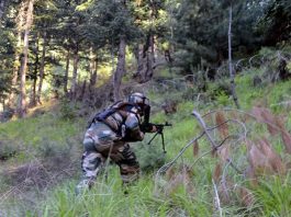 Gunfight in Kashmir forests