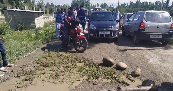 In a unique protest, Kulgam villagers plant paddy on road In a unique protest, Kulgam villagers plant paddy on road