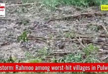 Hailstorm: Rahmoo among worst-hit villages in Pulwama Hailstorm: Rahmoo among worst-hit villages in Pulwama