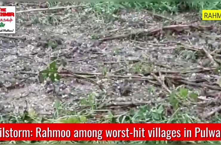 Hailstorm: Rahmoo among worst-hit villages in Pulwama