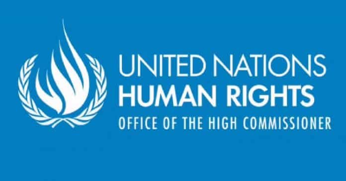 United Nations Human Rights - Office of the High Commissioner United Nations Human Rights - Office of the High Commissioner