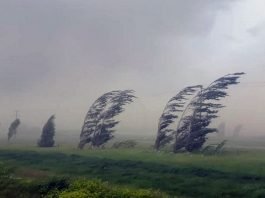 Windstorm