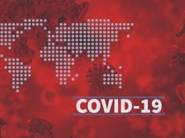 Community Transmission - COVID-19