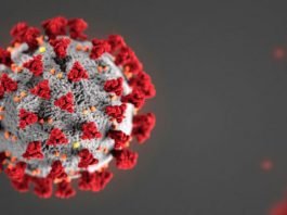 Coronavirus (COVID-19)