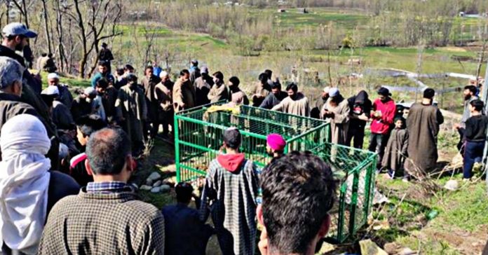 Leopard captured in Koil Pulwama