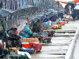 Women selling fish in Srinagar