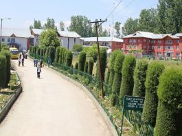 Government Degree College (Boys) Pulwama