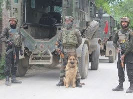 Government forces during a gunfight in Kashmir