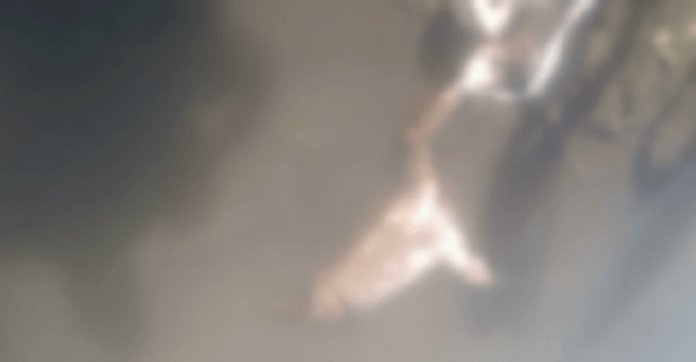 Man’s body without head, other parts found in Sumbal