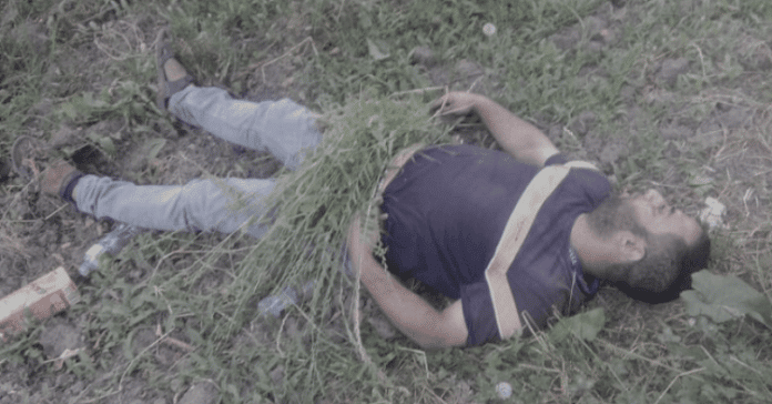 Dead body of Health employee found in Pulwama Dead body of Health employee found in Pulwama