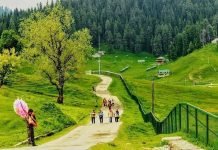 J&K high-altitude areas see nearly 1°C warming in two decades: Study Gulmarg in Summer