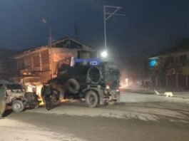 Days after joining militancy, youth held during CASO in Pulwama