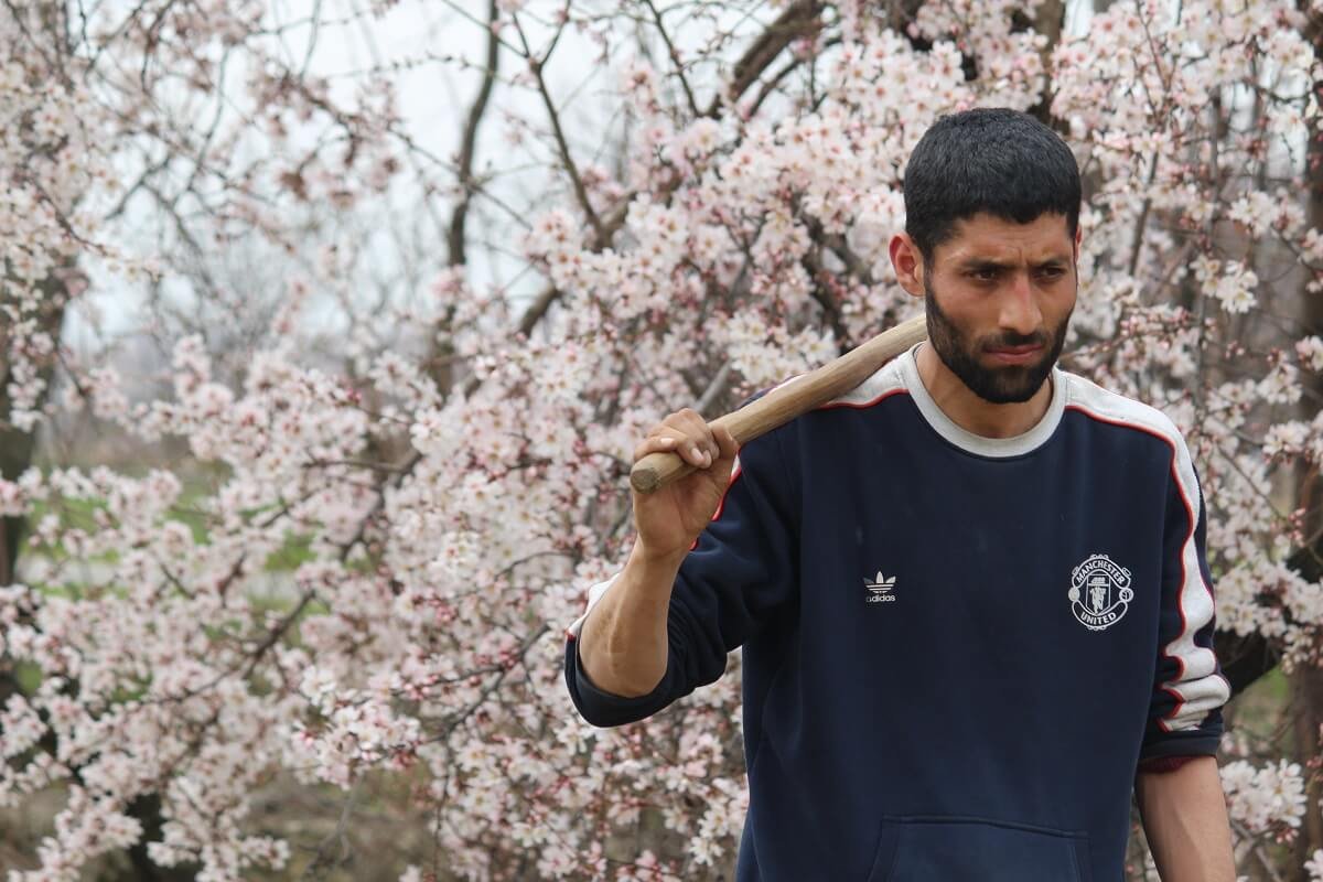 After working in his almond fields, a young man leaves home.