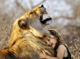 Lion - Girl - Nature - Happy