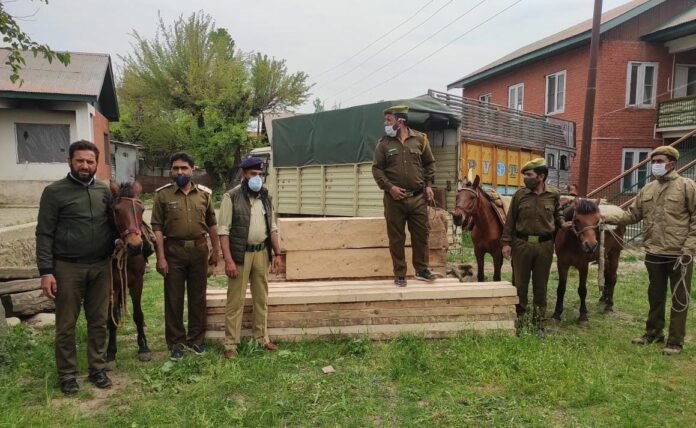 Three horses laden with illicit timber seized in Pulwama