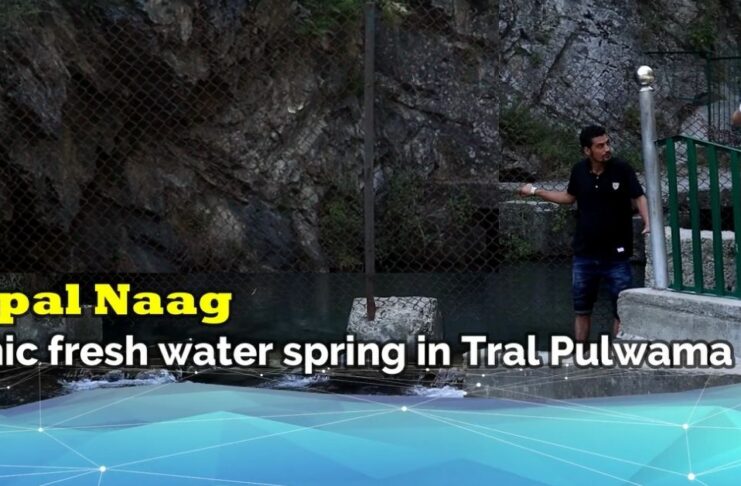 Aripal Naag — Iconic fresh water spring in Tral Pulwama