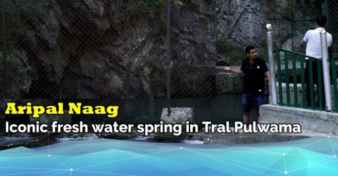 Aripal Naag — Iconic fresh water spring in Tral Pulwama