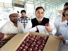 Mega Fruit Mandi officially opens its doors in Shopian