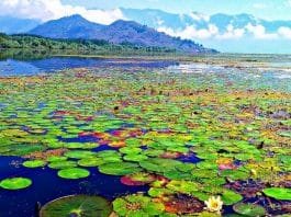 Wular Lake