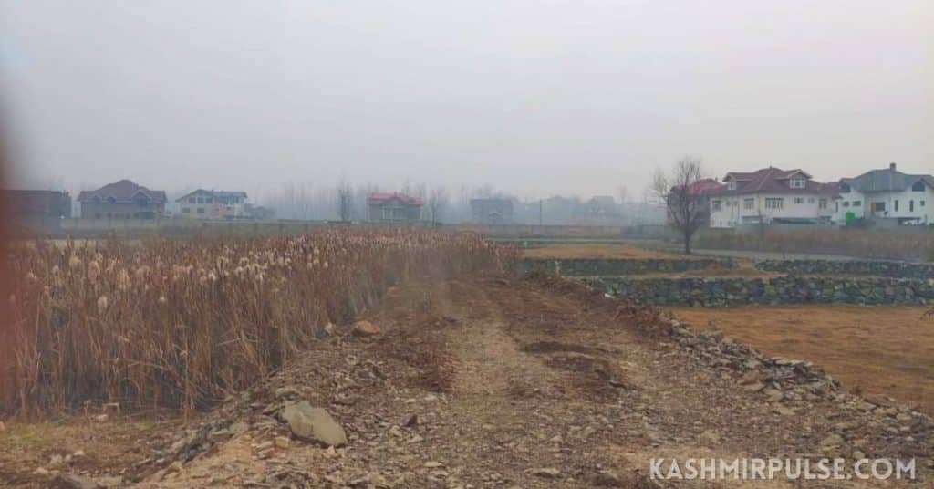 Illegal earth-filling of wetland, agriculture land rampant in Pampore