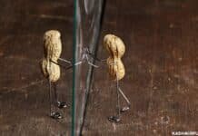 The Unfortunate Lover Lovers