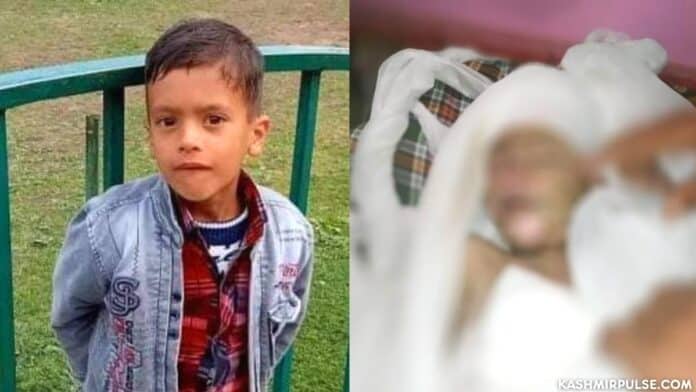 Mother-son duo murder 8-year-old kid in Kupwara