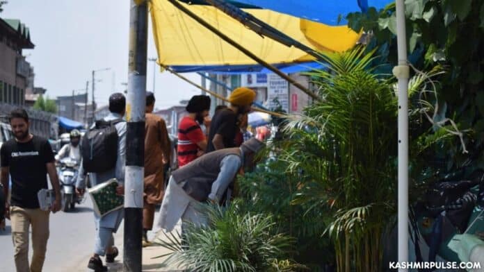 Flower-sellers in Srinagar fleece customers in absence of any regulation