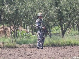 A CRPF man stand guard during a gunfight in south Kashmir
