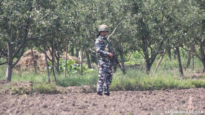 A CRPF man stand guard during a gunfight in south Kashmir